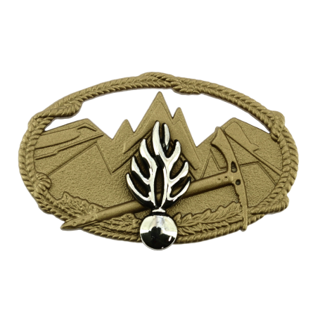 Insigne du Brevet Technique de Montagne  BTM Gendarmerie Nationale