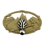 Insigne du Brevet Technique de Montagne  BTM Gendarmerie Nationale