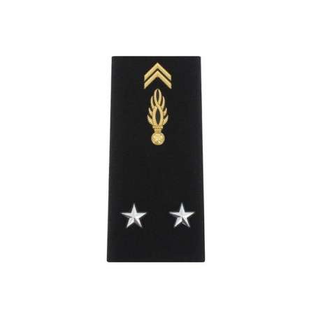 Fourreaux d'Épaule Homme Rigide Général de Brigade 2 étoiles Gendarmerie Nationale