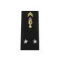 Fourreaux d'Épaule Homme Rigide Général de Brigade 2 étoiles Gendarmerie Nationale