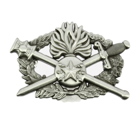 Insigne Diplôme Télécommunications et Informatique Arg Gendarmerie Nationale