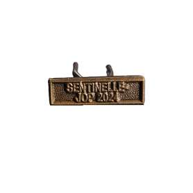 Agrafe Dixmude Barrette SENTINELLE JOP 2024 Bronze