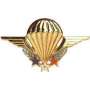 insignes-instructeur-parachutiste